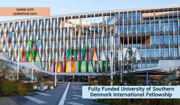 Fully Funded University of Southern Denmark International Fellowship