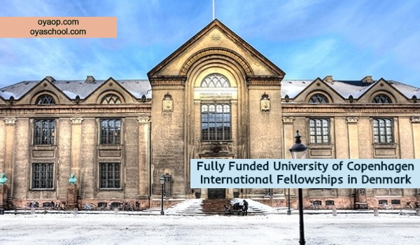 Fully Funded University of Copenhagen International Fellowships in Denmark