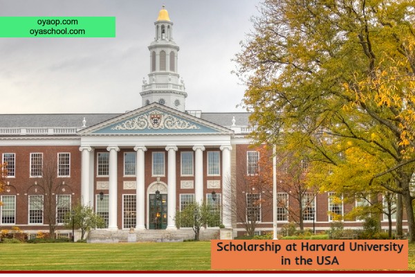 Scholarship at Harvard University in the USA