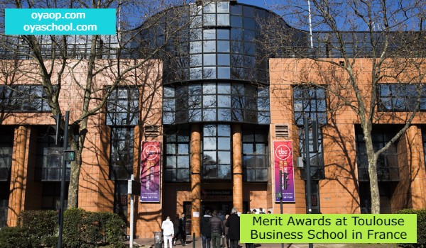 Merit Awards at Toulouse Business School in France