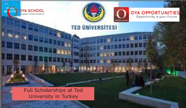 Full Scholarships at Ted University in Turkey