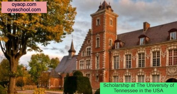 Scholarship at The University of Tennessee in the USA